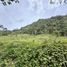  Terrain for sale in Rionegro, Antioquia, Rionegro