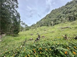  Land for sale in Rionegro, Antioquia, Rionegro