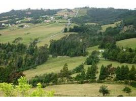  Terrain for sale in Chia, Cundinamarca, Chia