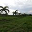  Land for sale in Casanare, Yopal, Casanare