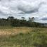  Terrain for sale in Rionegro, Antioquia, Rionegro