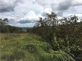  Terrain for sale in Rionegro, Antioquia, Rionegro