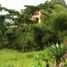  Land for sale in Sabaneta, Antioquia, Sabaneta