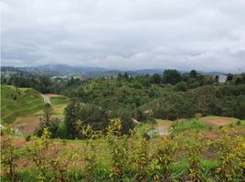  Terreno (Parcela) en venta en La Ceja, Antioquia, La Ceja