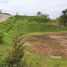  Land for sale in La Ceja, Antioquia, La Ceja