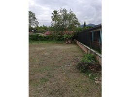  Terreno (Parcela) en venta en Pijao, Quindio, Pijao