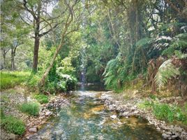  Grundstück zu verkaufen in Retiro, Antioquia, Retiro