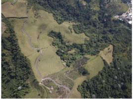  Terreno (Parcela) en venta en Caldas, Manizales, Caldas