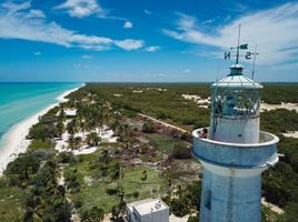  Terrain for sale in Celestun, Yucatan, Celestun