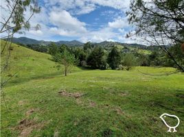  Terreno (Parcela) en venta en Retiro, Antioquia, Retiro, Antioquia