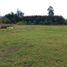 Terrain à vendre à La Ceja, Antioquia, La Ceja, Antioquia
