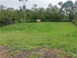  Terreno (Parcela) en venta en Pereira, Risaralda, Pereira