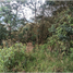  Terreno (Parcela) en venta en Rionegro, Antioquia, Rionegro, Antioquia