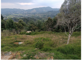  Terreno (Parcela) en venta en Rionegro, Antioquia, Rionegro, Antioquia