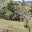  Land for sale in San Vicente, Antioquia, San Vicente