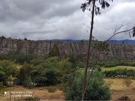  Terreno (Parcela) en venta en Choconta, Cundinamarca, Choconta