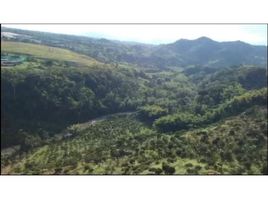  Land for sale in Pereira, Risaralda, Pereira