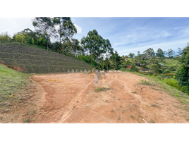  Land for sale in El Carmen De Viboral, Antioquia, El Carmen De Viboral