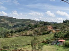 2 Habitación Casa en venta en Colombia, San Vicente, Antioquia, Colombia