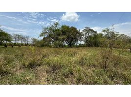  Land for sale in Palmira, Valle Del Cauca, Palmira