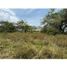  Land for sale in Palmira, Valle Del Cauca, Palmira