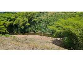  Land for sale in Pereira, Risaralda, Pereira