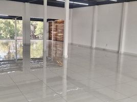 580 SqM Office for rent in Miguel Hidalgo, Mexico City, Miguel Hidalgo
