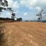  Land for sale in Penol, Antioquia, Penol