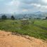  Land for sale in Penol, Antioquia, Penol