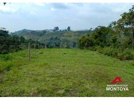  Grundstück zu verkaufen in Santa Rosa De Cabal, Risaralda, Santa Rosa De Cabal