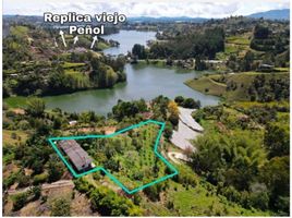  Terreno (Parcela) en venta en Penol, Antioquia, Penol