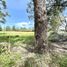  Land for sale in Rionegro, Antioquia, Rionegro