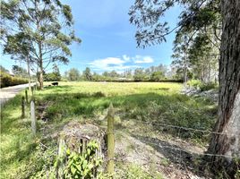  Land for sale in Rionegro, Antioquia, Rionegro