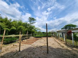  Terreno (Parcela) en venta en Armenia, Quindio, Armenia