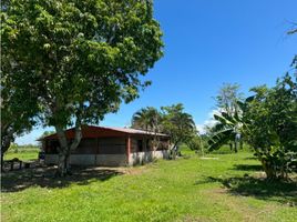 1 Bedroom Villa for sale in Tolima, Coyaima, Tolima