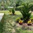 4 Habitación Villa en venta en Santa Fe De Antioquia, Antioquia, Santa Fe De Antioquia