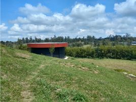  Land for sale in Los Santos, Santander, Los Santos