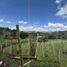  Land for sale in San Vicente, Antioquia, San Vicente