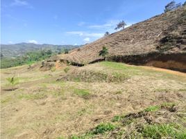  Land for sale in San Vicente, Antioquia, San Vicente