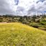 Terrain à vendre à Guarne, Antioquia, Guarne, Antioquia