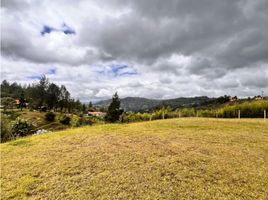 Terrain à vendre à Guarne, Antioquia, Guarne, Antioquia