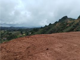  Land for sale in San Vicente, Antioquia, San Vicente