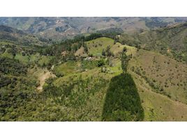 7 Habitación Villa en venta en Gomez Plata, Antioquia, Gomez Plata