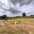  Land for sale in Marinilla, Antioquia, Marinilla