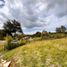  Land for sale in Marinilla, Antioquia, Marinilla