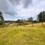  Land for sale in Marinilla, Antioquia, Marinilla