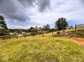  Land for sale in Marinilla, Antioquia, Marinilla