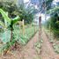  Terreno (Parcela) en venta en Armenia, Quindio, Armenia