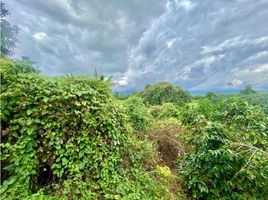  Terreno (Parcela) en venta en Armenia, Quindio, Armenia