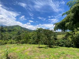  Terreno (Parcela) en venta en Risaralda, Santa Rosa De Cabal, Risaralda